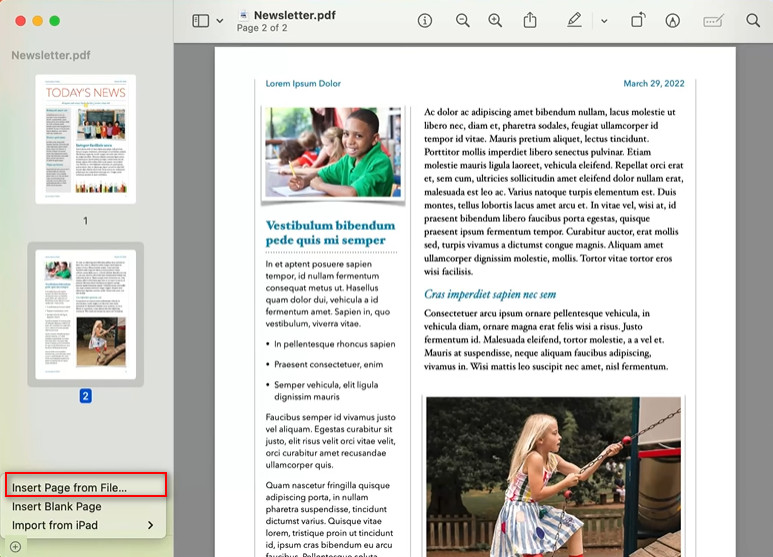 プレビューでファイルからページを挿入する