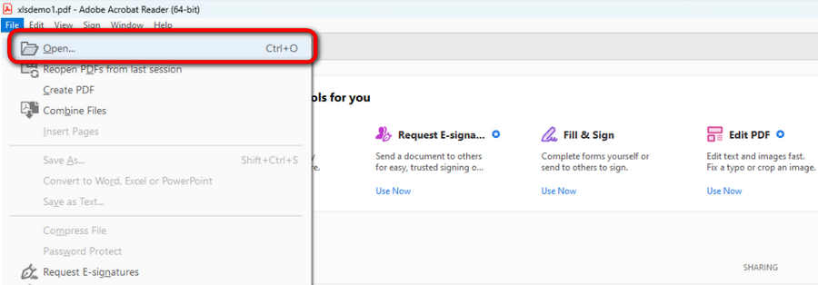 Open PDF in Acrobat Reader 