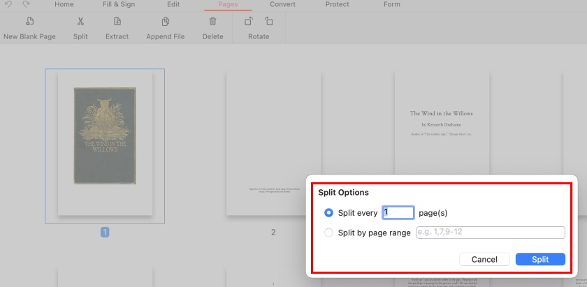 Split Options in PDFgear