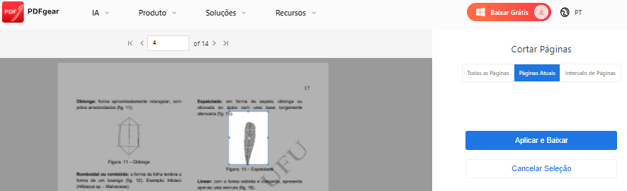 Recortar imagem de PDF online grátis com PDFgear
